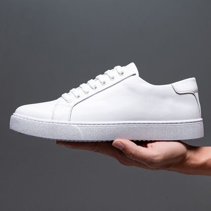 Atlas Low Top Sneakers